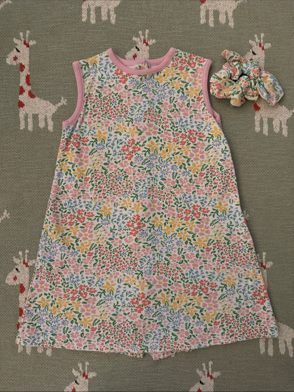 James & Lottie Floral Dress